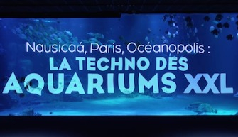 La techno des aquariums XXL